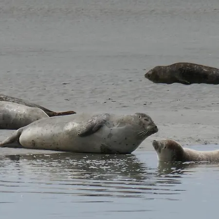 Luksusowy namiot Tente En Baie De Somme *